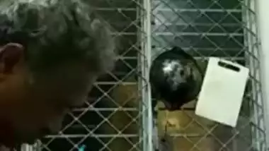 Today Exclusive -matue Couple Fucking