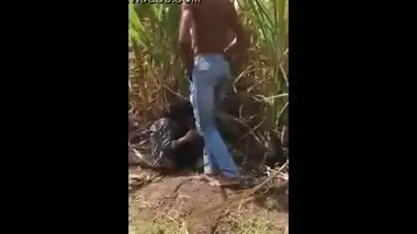 Village teen having outdoor sex in a sugarcane field